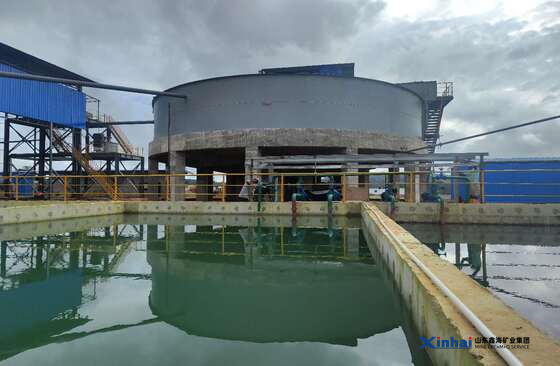 Xinhai-Ghana-500 TPD-Gold-Tailings-Cyanidation-Plant-8.jpg